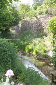 Promenade le long du Rabi